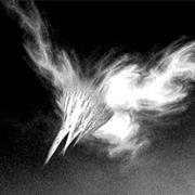 Phoenix Creature From Tunis