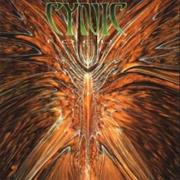 Cynic: Focus