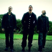 Mystical Celtic Woods