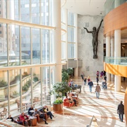 Mayo Clinic Rochester Minnesota