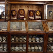 Lombrosp's Museum of Criminal Anthropology