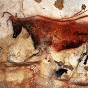 Cave Paintings Found in France (1940)