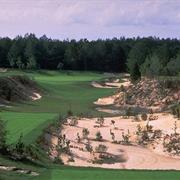 World Woods (Pine Barrens) US