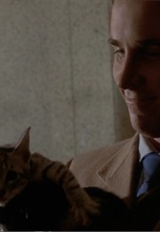 ATM Kitty, American Psycho (2000)