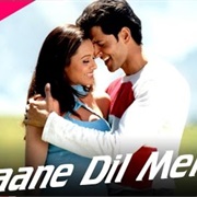 Mujhse Dosti Karoge! Jaane Dil Mein