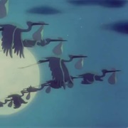 Look Out for Mr. Stork