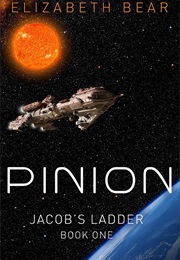 Dust (Elizabeth Bear)