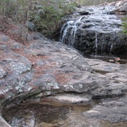 Moss Rock Preserve
