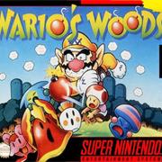 Wario's Woods