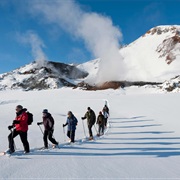 Snowshoe Through Pingvellir National Park, Iceland
