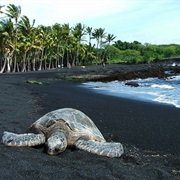 Punaluu Black Sand Beach, Hawaii