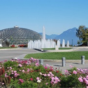 Queen Elizabeth Park
