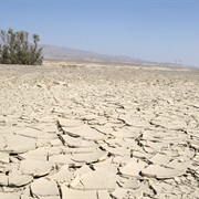 Karakum Desert