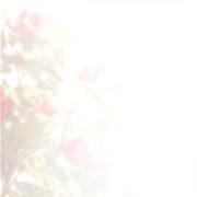 Mavis Staples - You Are Not Alone