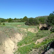 Folsom Site