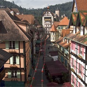 Colmar Tropicale