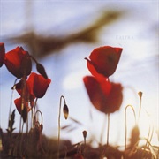 L'altra - In the Afternoon