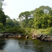 Edumanom National Forest