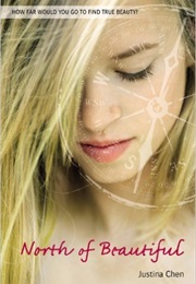 North of Beautiful (Justina Chen Headly)