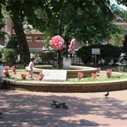 Vincent Daniels Square