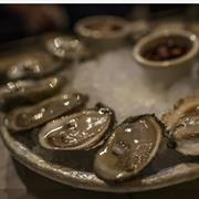 Oysters at Old Ebbitt Grill