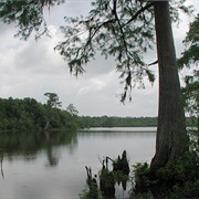 Catahoula National Wildlife Refuge