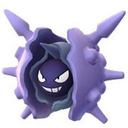Cloyster