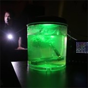 Escape Room University, Richmond, Va