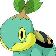 Shiny Turtwig