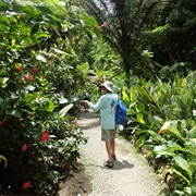 Bonaire Botanical Garden