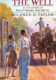The Well:  David's Story (Mildred D. Taylor)
