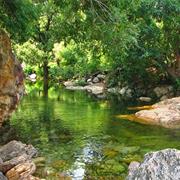 Ubbalamadugu Falls (Tada Falls)