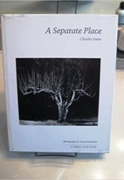 A Separate Place (Charles Jones)