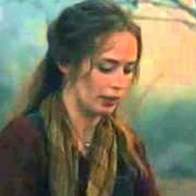 Moments in the Woods