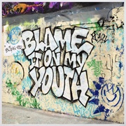 Blame It on My Youth - Blink-182