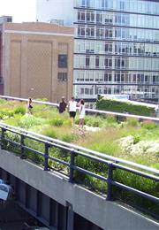 High Line (Hitch, Louie)