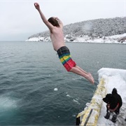 Polar Bear Plunge
