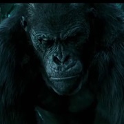 Kerchak