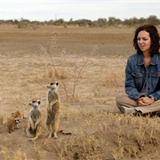 Watch Animals in Their Natural Habitat