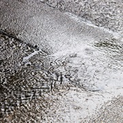 The Smell of Asphalt After a Summer Downpour