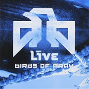 Live - Birds of Pray