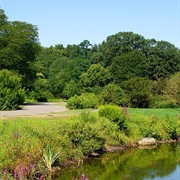 Arnold Arboretum