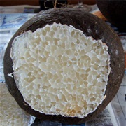 Native Bread (Laccocephalum Mylittae)