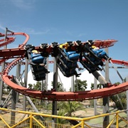 Mirage Rosso (Zoosafari Fasanolandia, Italy)