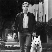 Longstreet James Franciscus