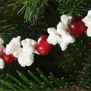 String Popcorn or Cranberries for the Tree