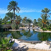 Jerba Island - Tunisia