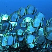 Batu Bolong, Komodo Island, Indonesia