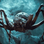 The Spiders of Mirkwood