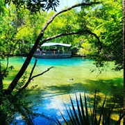 Homosassa State Park